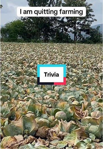 A Day in the Life of Sustainable Farming in Kenya