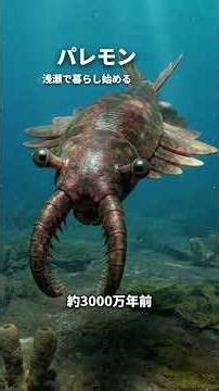エビの進化の軌跡