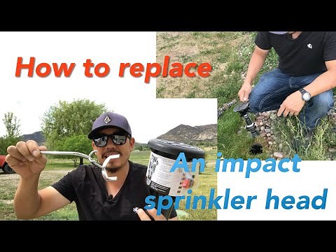 How to replace an impact sprinkler head