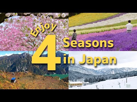 The best spots to enjoy 4seasons in Japan