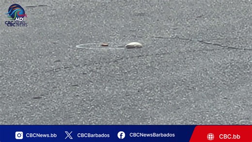 The Barbados Police Service is on the scene of a shooting incident at Carters Gap in Christ Church. Reports indicate a victim succumbed to gunshot injuries. This is a developing story. Details to follow as they become available. 𝗩𝗶𝘀𝗶𝘁 𝗼𝘂𝗿 𝘄𝗲𝗯𝘀𝗶𝘁𝗲 𝘄𝘄𝘄.𝗰𝗯𝗰.𝗯𝗯 𝗳𝗼𝗿 𝗺𝗼𝗿𝗲. (🔗Link in bio) 📸 Patrick Murray (@murraype_831) #CBCNewsBB #Police #CBCNewsBarbados | CBC News Barbados