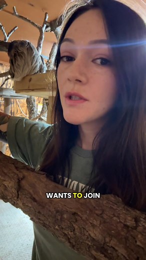 Enjoy one complimentary sloth encounter if you visit the zoo Monday through Thursday for November!!! Your group will receive one sloth encounter and that applies to a single person, not the entire group. Additional sloth encounters can always be added on if anybody else would like to pet and feed them. | Texas Wildlife Park