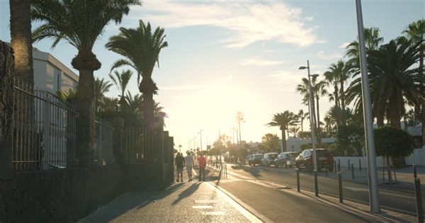 People, Palm Trees, Walking. Free Stock Video