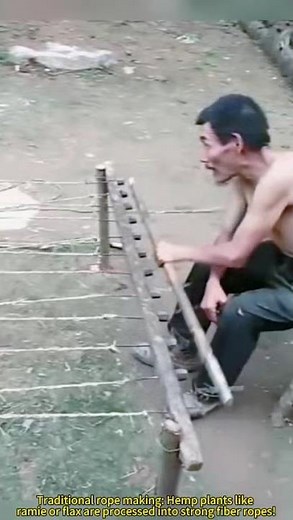 Traditional rope making: Hemp plants like ramie or flax are processed into strong fiber ropes!