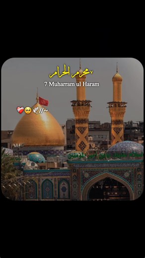 7th Muharram 🥺🕊️ . . . #7muharram #foryoupage #viraltiktok #imamhussainع #unfreezemyaccount