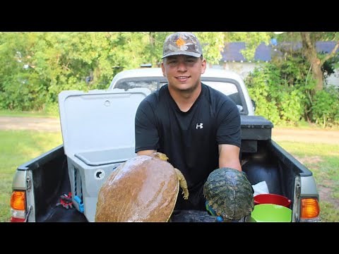Turtle Taste Test! Soft shell Vs Invasive Pond Turtle (catch clean cook)