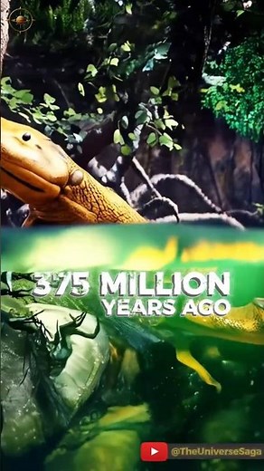 This Fish Walked On Land?! 😱 #Shorts