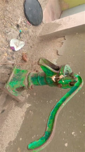 different types of insects