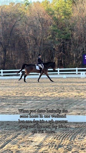 The Transformation of Equestrian Horses