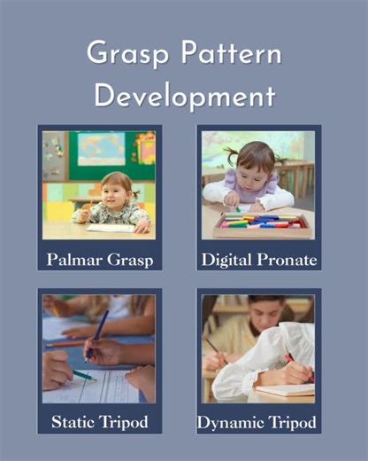 Play and Thrive on Instagram: "Pencil grasp development is a long process that varies between each individual. Check out the basic progression below! ✏️Palmar Grasp: This grasp pattern uses the whole fist and is a typical grasp pattern for 1-2 year olds. It typically begins with the palm facing down (pronated) and progresses to palm facing up (supinated). Writing with a palmar grasp involves the whole arm with a lot of shoulder movement. ✏️Digital Pronate Grasp: This pattern is typical for 2-3 y