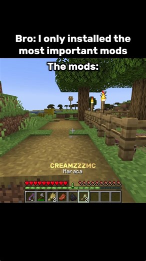 Installing 'must-have' mods was a mistake #minecraft #shorts