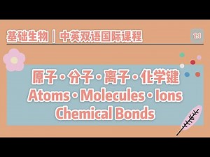 【中英双语国际课堂-基础生物】生物学基础：原子分子离子和化学键 | Atoms, Molecules, Ions & Chemical Bonds