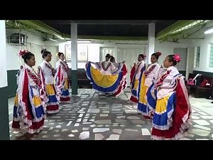 Pasos de la pollera colora
