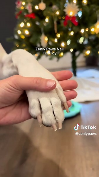 Best Dog Nail Clipping Deals for Black Friday