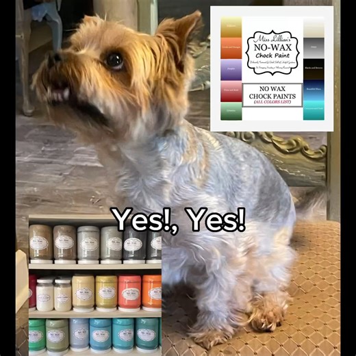 4 comments | Show us your projects with Miss Lillian's!! EVEN Cisco loves Miss Lillian's NO WAX Chock Paint . https://www.misslillianspaint.net/retailer/2/ US only. | 2chattychicks teaching Eclectic Creations | Facebook