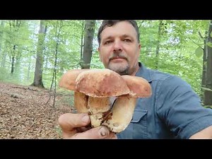 AM BĂTUT RECORDUL LA STRÂNS HRIBI!