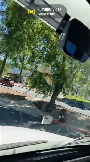 Beautiful view from a trucker's perspective #trucking