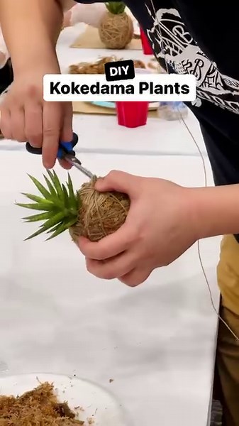 We are so excited for Wei Li’s hands-on Kokedama class at #PinnersKC! 🤗🌱 It’s something we’d probably never try on our own at home, but something we’re going to have so much fun doing along side an expert at Pinners. Come create the magic of nature in your hands and learn to weave wonders with Kokedama. Tickets are available online now! 📍#Kokedama #diy #houseplant #plantlady #plantaddict #plantlove #kansascity | Pinners Conference