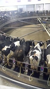 25K views · 559 reactions | Happy National Milk day! This is the...