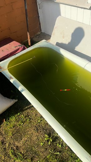 Евгений Страх on Instagram: "Где то в Беларуси рыбалка на карася)"