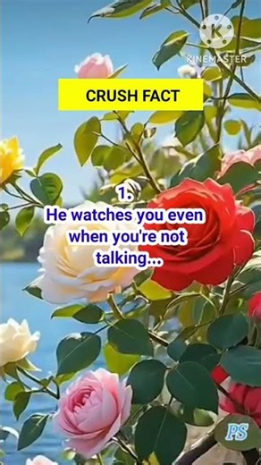 Crush Facts 🔥 Psychological Facts 🥰 #queenfactstoria #shorts #viralvideo #crush