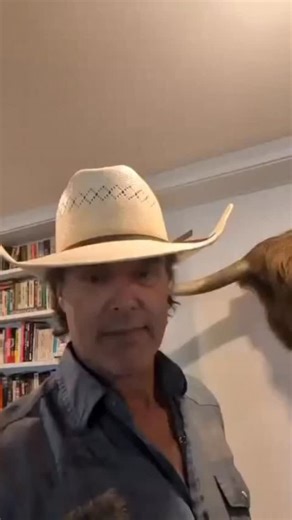 Sorry, Albert. #CowsAround | Corb Lund