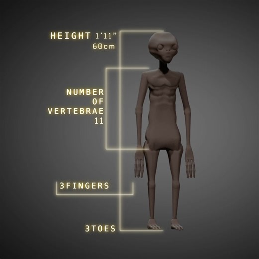 Experts and researchers break down the anomalous anatomy of the Nazca mummies in our original series Unearthing Nazca. Watch the complete series only on Gaia. | Unexplained on Gaia