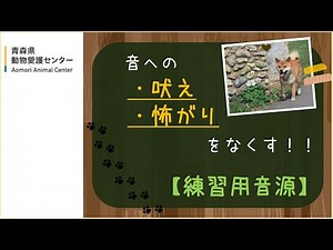 【犬と暮らす】生活音に慣らそう！～練習用音源～