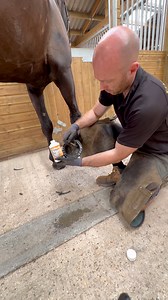 3.4K views · 35 reactions | A game changer for the finer horses and ones that suffer with brittle hooves!! @nafuk Rock Hard Hoof Hardener strengthens soles, disinfects frogs and protects weak and cracked hooves. You can use my code SD20 on NAF’s website at checkout for 20% off  | Sam Dracott - Farrier | Facebook