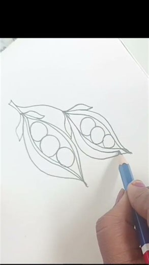 easy to draw green beans🫛🫛🫛