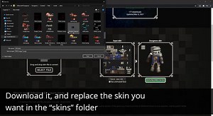 Custom Skins Loader