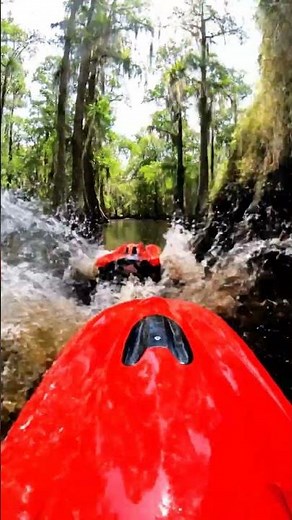 High-Speed RC Boat Chase in the Swamp! 🚤💨