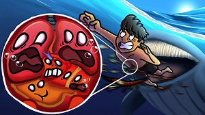 What if you get swallowed by a WHALE?