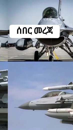 ahadu zena on TikTok