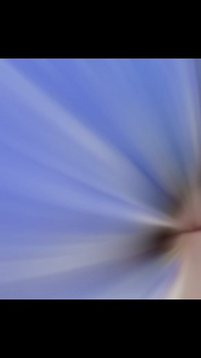 Landon Hall (@landonhall244)’s videos with Trendsetter - Connor Price & Haviah Mighty