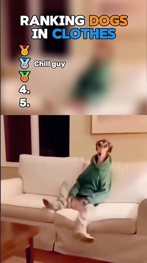 Top 5 Dogs Wearing Clothes!😂 #dogsoftiktok #top5 #comedy