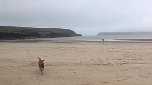 Tregirls beach near #Padstow. Tide was a long way out, making the treacherous sandbanks very visible. Dog friendly all year round. Padstow Sealife Safaris Rick Stein and Jill Stein - The Seafood Restaurant | We are Cornwall