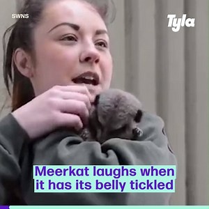 308K views · 4.3K reactions | Those little giggles!  | Tyla | Facebook