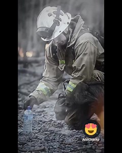 🇺🇸 Animal Rescue Operations Jump Into Action During Los Angeles Fires🔥 (January 2025) 🐆🐎🐅🐈‍⬛🐐 🔴 Some Heart touching Scenes ❤️ As flames roared into communities on all sides of Los Angeles last week, and tens of thousands of residents rushed to evacuate, trailers across southern California were being hitched and trucks fueled. A network of volunteers was preparing to descend on the fire zones, ready to risk it all to save pets and livestock in need. ● Crews took advantage of milder weath