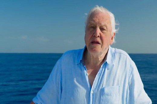 The Blue Planet II ★ BBC Earth with English Subtitles and MKV