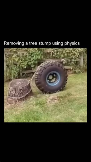 vijay singh | A brilliant application of physics to tackle the difficult task of removing a tree stump. By looping a chain around a large tire and the... | Instagram