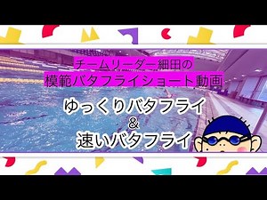 久々に撮影が出来きたので、バタフライ泳いでみました！｜チームリーダー細田の泳ぎ