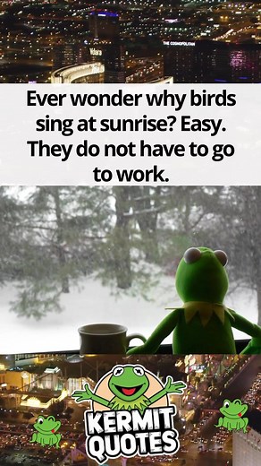 16K views · 319 reactions | Kermit Quotes on Reels | Facebook