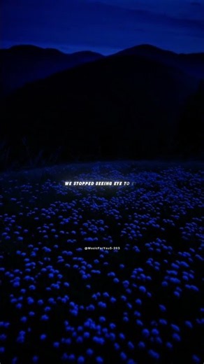 It Ain't Me - Kygo & Selena Gomez | lyrics | aesthetic edit