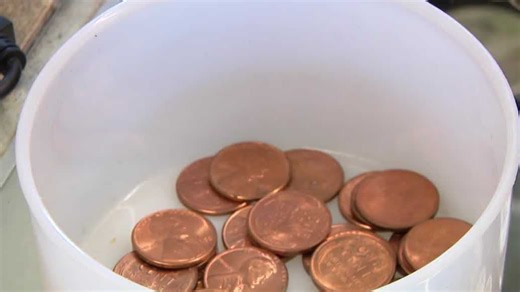 Saving your 2025 pennies? A Bellevue coin dealer says it might not be worth it