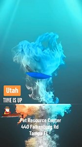 7.1K views · 129 reactions | 2-11-25 SAFE with McNeely Farmily Rescue...