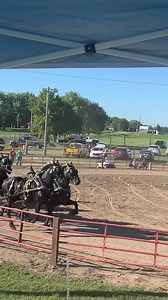 Britt Draft Horse Show Saturday Six Horse Hitch Placings Drive off #1 Zubrod Steffen Meadowlake Schreiber Hersch Drive off #2 Blue Ribbon Days Young Living Yoder 18. Stillbrooks 17. Goodell 16. Oakdale 15. Welton Ridge 14. Apenhorst 13. Team Creelman 12. Pittman 11. Maker 10. Hemmersbach 9. Roby 8. Hersch 7. Steffen 6. Schreiber 5. Meadowlake 4. Zubrod 3. Yoder 2. Young Living 1. Blue Ribbon Days | Blue Ribbon Days Percherons