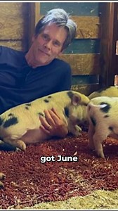 921K views · 14K reactions | Kevin Bacon doesn't eat bacon. Repeat: Bacon does not eat bacon. #kevinbacon #beverlyhillscop | JOLLY | Facebook