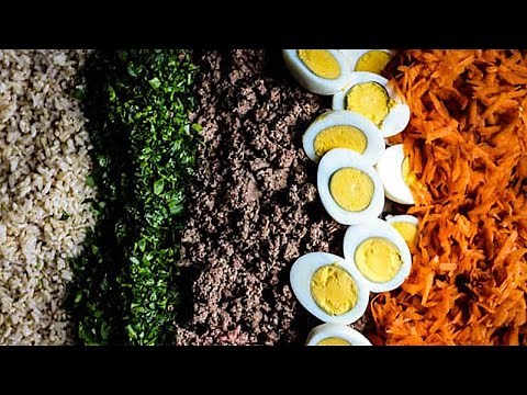 How to Make Easy Homemade Dog Food: Recipe Included!