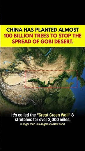 China Is Building a Wall — But Not the One You Know 🌳 | The Great Green Wall Explained